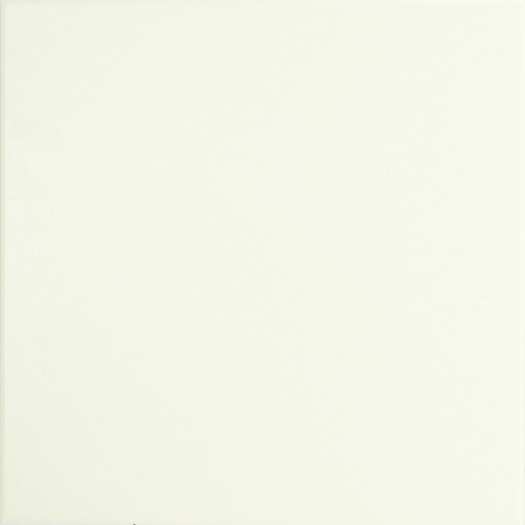 Bianco Assoluto 20×20 50