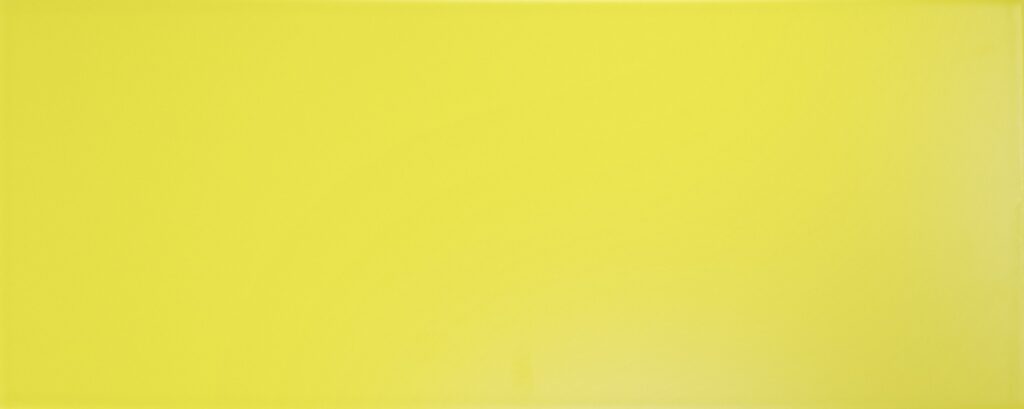 Design P. Giallo 03 JAUNE ANI 3 20×50 UG NT 50